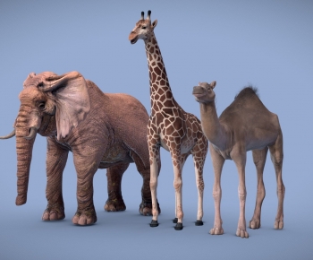 Modern Animal-ID:378134975