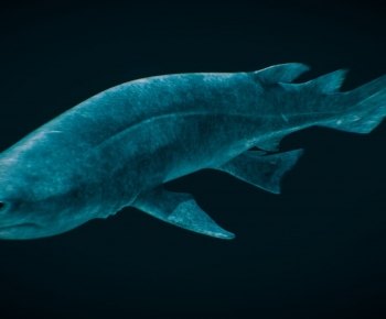 Modern Robot-ID:253464948