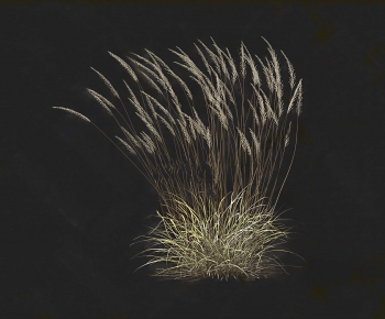 Modern Flowers And Grass-ID:364101892