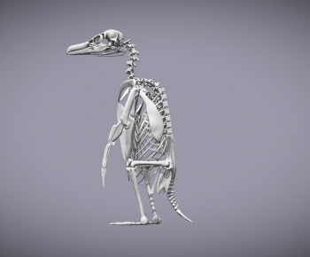 Modern Animal-ID:999680043