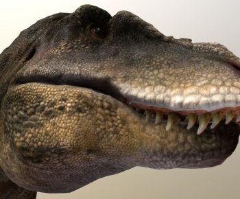 Modern Other Animals-ID:101199234