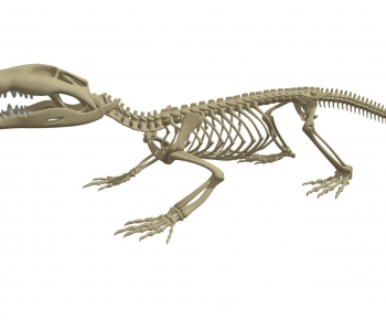 Modern Animal-ID:386924031