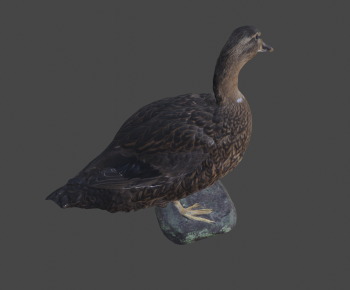 Modern Animal Duck-ID:814083104