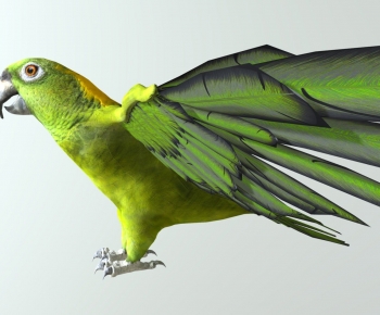 Modern Robot-ID:193305977