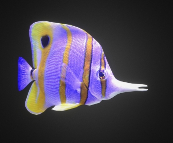 Modern Aquatic Animals-ID:114804039