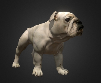 Modern Animal Dog-ID:710325001