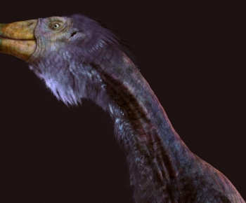 Modern Flying Animals-ID:683717016