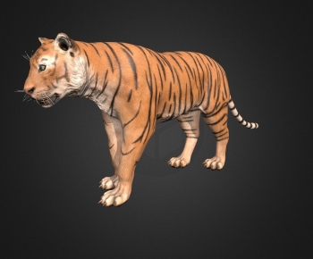 Modern Mammal-ID:225611937