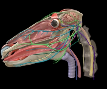 Modern Robot-ID:644212014