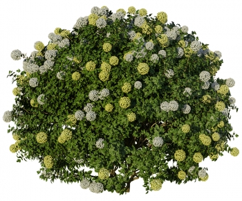 Modern Shrubbery-ID:478266957