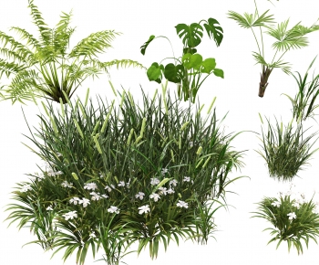 Modern Flowers And Grass-ID:969019891