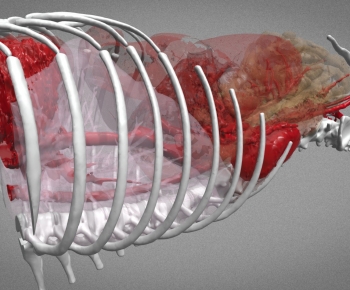 Modern Robot-ID:118660971