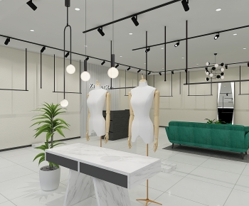 Modern Clothing Store-ID:211399082