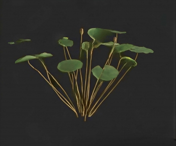 Modern Flowers And Grass-ID:234654906