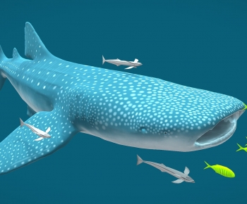 Modern Mammal-ID:390594965