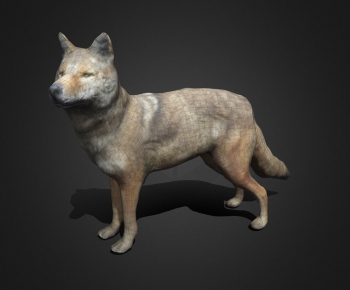 Modern Mammal-ID:655486116