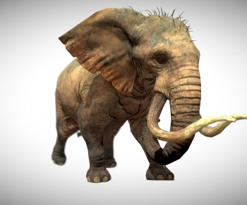 Modern Mammal-ID:652761941