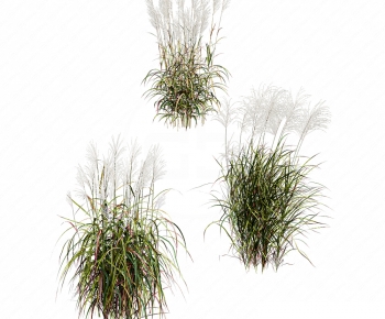 Modern Tree/shrub/grass-ID:959620001