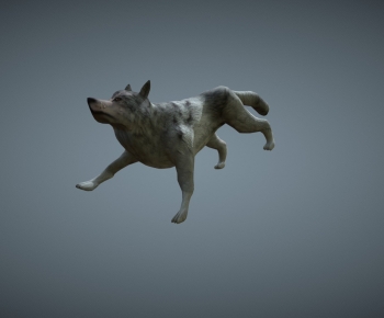 Modern Mammal-ID:233105907