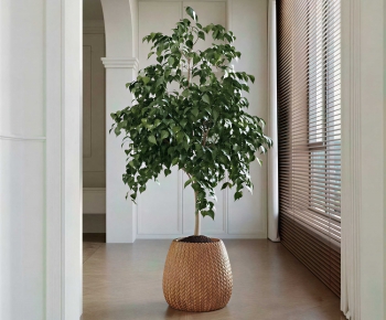 Modern Ground Green Plant Potted Plants-ID:990726956