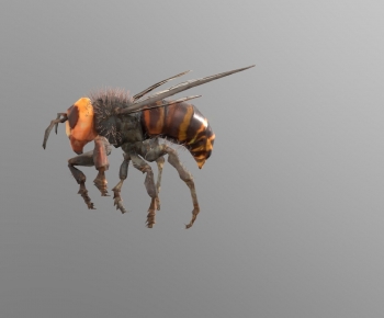 Modern Robot-ID:771138915