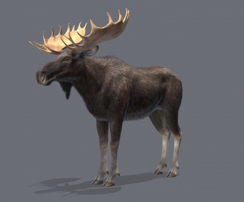 Modern Robot-ID:307451961