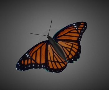 Modern Flying Animals-ID:483187914