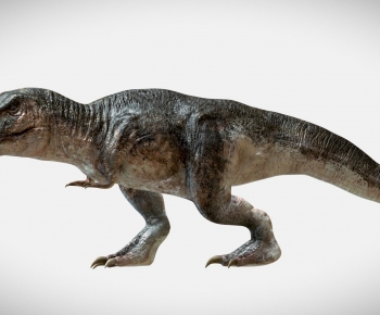 Modern Other Animals-ID:677650022