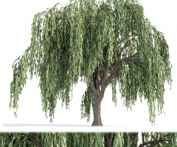 Modern Tree-ID:739132882