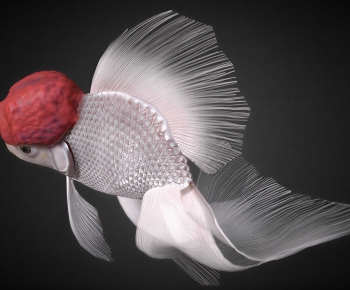 Modern Aquatic Animals-ID:663991071