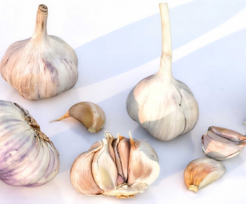 Modern Vegetables-ID:425945046