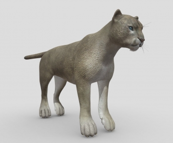 Modern Animal Dog-ID:595530997