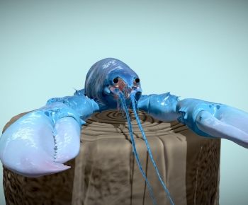 Modern Aquatic Animals-ID:340349788