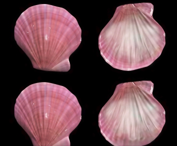 Modern Aquatic Animals-ID:244636061