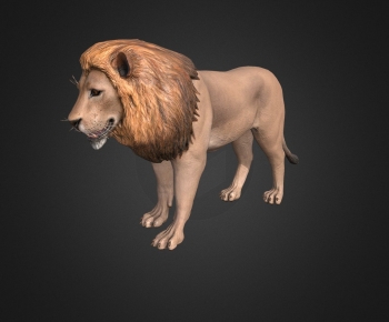 Modern Mammal-ID:725686073