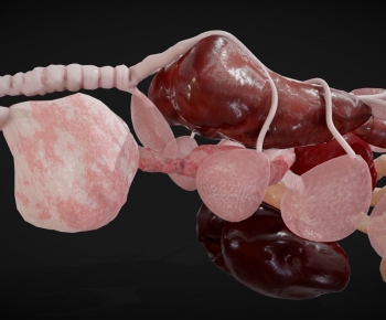 Modern Robot-ID:279319372