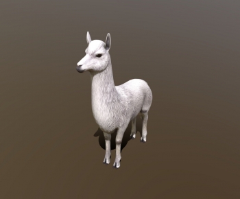 Modern Mammal-ID:343719017