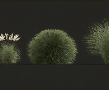 Modern Flowers And Grass-ID:132915976