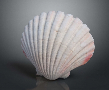 Modern Aquatic Animals-ID:296208921