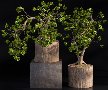 Modern Ground Green Plant Potted Plants-ID:284183036