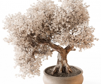New Chinese Style Bonsai-ID:497114906