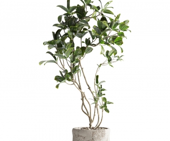 Modern Ground Green Plant Potted Plants-ID:951143984