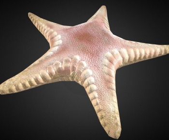 Modern Aquatic Animals-ID:144109013