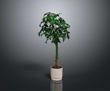 Modern Ground Green Plant Potted Plants-ID:757678037