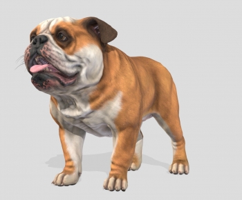 Modern Animal Dog-ID:945919043