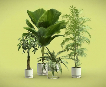 Modern Ground Green Plant Potted Plants-ID:395824919
