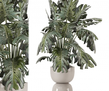 Modern Ground Green Plant Potted Plants-ID:339811095