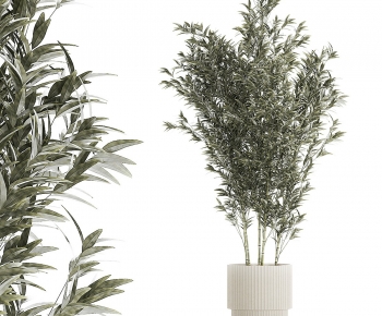 Modern Ground Green Plant Potted Plants-ID:247360942