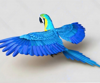 Modern Flying Animals-ID:720810967