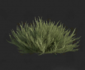 Modern Shrubbery-ID:117688893